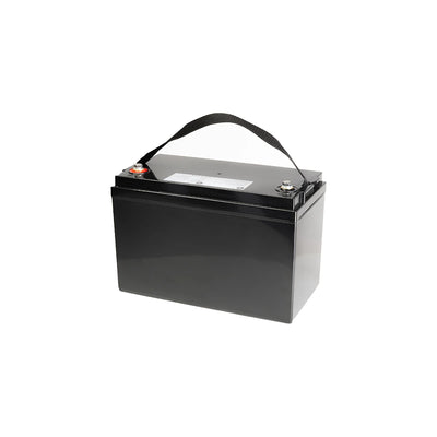 LiFePO4 Akku 24V 50Ah Lithium Eisen Phosphat Batterie für Camping Boot Solar Caravan Wohnwagen