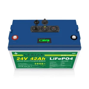 LiFePO4 Akku 24V 42Ah 50A Lithium Eisen Phosphat Batterie für Camping Boot Wohnmobil