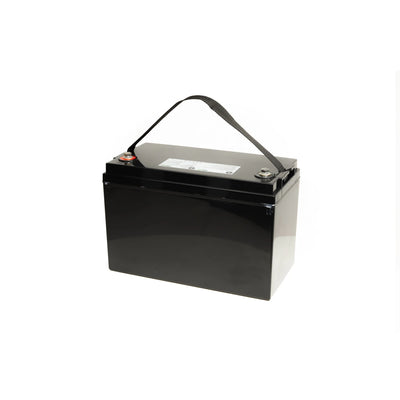 LiFePO4 Akku 12V 100Ah 100A Lithium Eisen Phosphat Batterie für Camping Boot Solar Caravan Wohnwagen